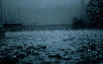 雨来的故事演讲稿推荐7篇