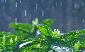 雨课堂500字心得体会6篇