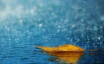 红色故事雨来演讲稿5篇