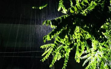 雨来的英雄故事读后感6篇