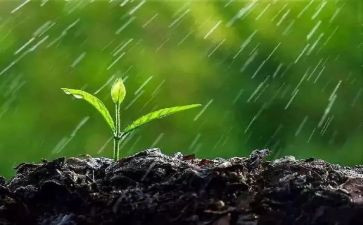 雨水资源调查报告6篇