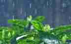 有关雨来的演讲稿6篇