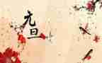 元旦会演讲稿最新5篇