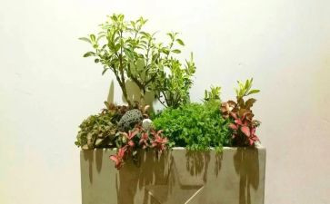 园艺工工作总结5篇