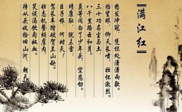 《岳飞》读后感5篇