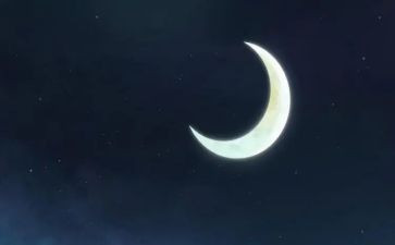 赏月亮作文7篇