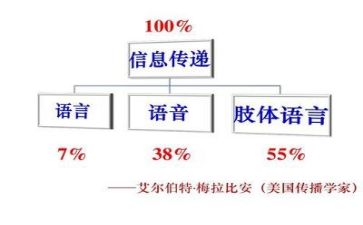 水的语言心得体会5篇