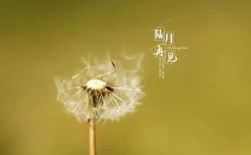 2024说再见作文最新6篇
