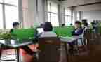 学生在校年度总结6篇