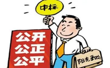 招标员年终总结最新7篇