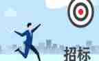 2024年招标代理工作的个人总结5篇