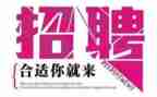 招聘工作总结优秀5篇