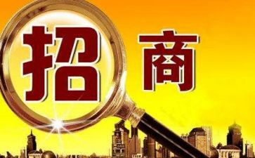 以商招商工作总结最新7篇