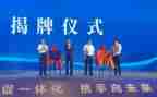 招商工作总结个人范文6篇