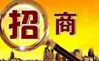 以商招商工作总结最新7篇