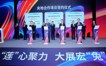 招投标毕设心得体会6篇