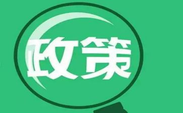 政策课心得体会优秀6篇