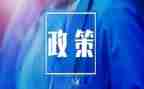 双减政策下的我演讲稿8篇