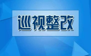 审计整改报告8篇