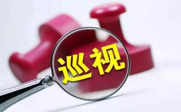 自查与整改报告参考8篇