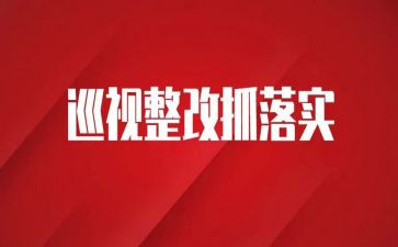 整改工作总结模板8篇