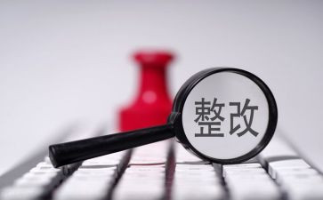 整改自查总结报告7篇