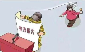 主体责任整改报告5篇