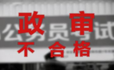教师编政审个人总结8篇