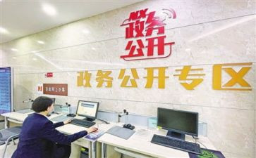街道政务公开工作总结8篇