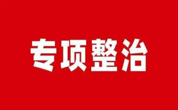 大整治工作总结通用6篇