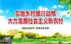 讲乡村振兴心得体会模板7篇