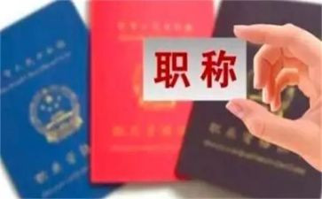 进职称工作总结最新8篇