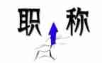 教师进职称工作总结报告5篇