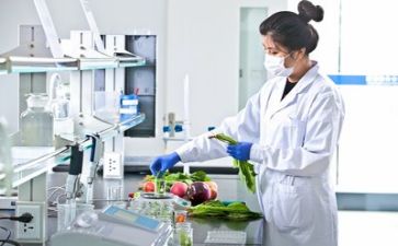 质量年总结报告6篇