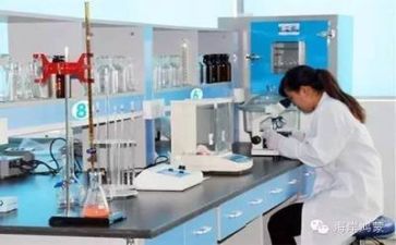 数质量工作总结最新5篇