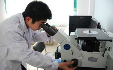 年度质量工作计划5篇
