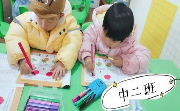 中班幼儿教案及反思7篇