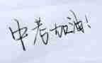 中考作文亲情类范文推荐7篇