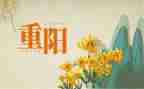 重阳节养老院活动策划5篇