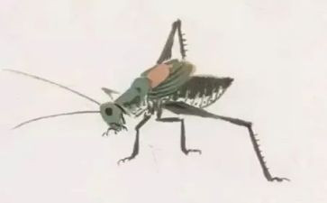 绿蝈蝈的读后感8篇