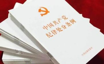 党内若干准则心得体会5篇