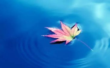 大自然的启示教案6篇