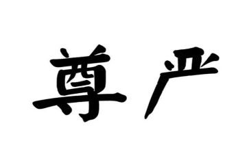 尊严的小作文5篇