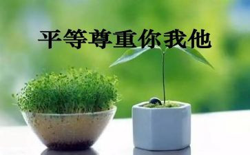 尊重类议论作文5篇